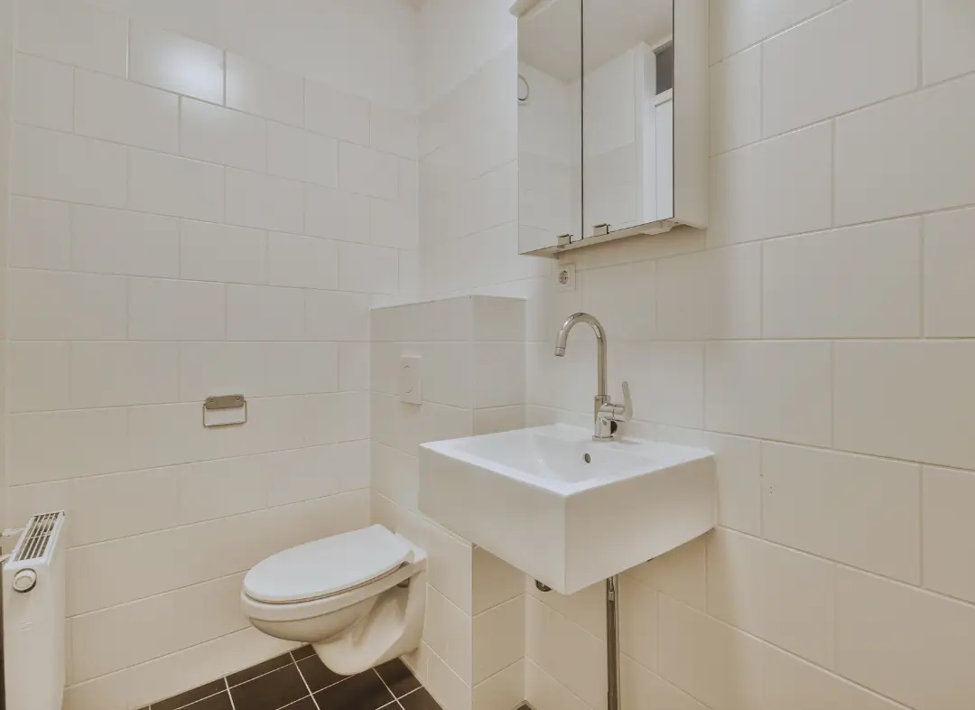 Pose WC Suspendu Bouloc